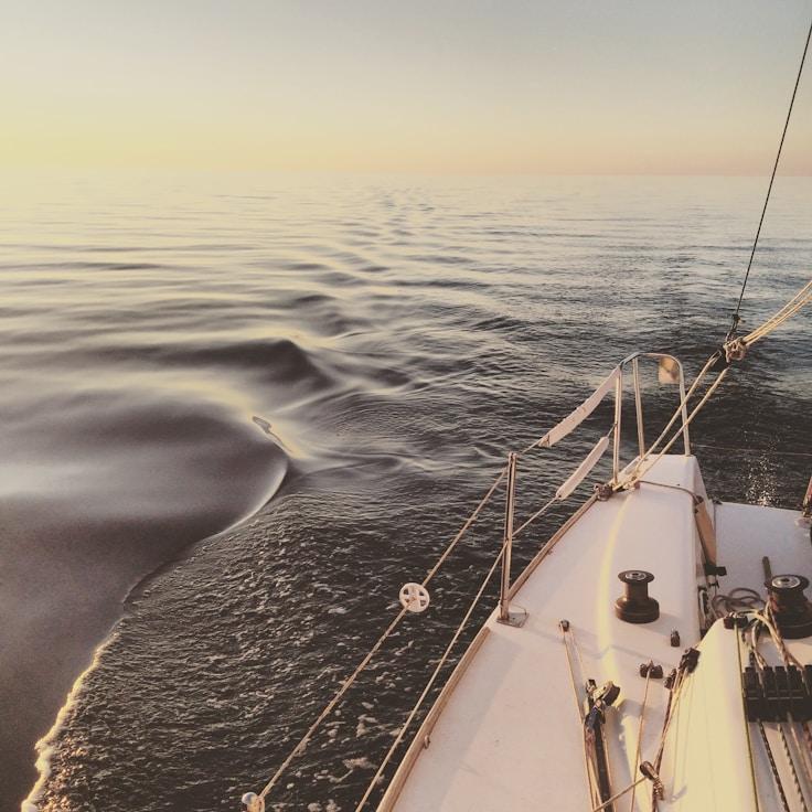Marine adventure snapshot